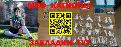 индика Лесосибирск