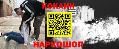 индика Лесосибирск