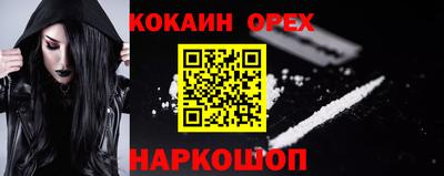 индика Лесосибирск