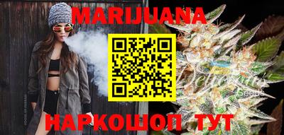 индика Лесосибирск