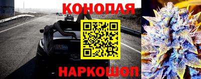 индика Лесосибирск